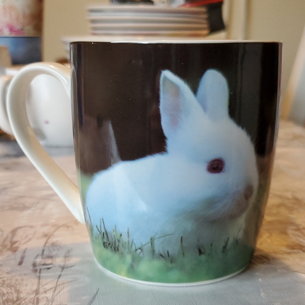 Like new! Rabbit dishwasher safe mug